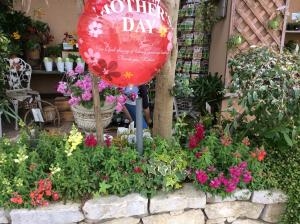 始動…(^o^)|「フローリスト花樹」　（千葉県市川市の花屋）のブログ