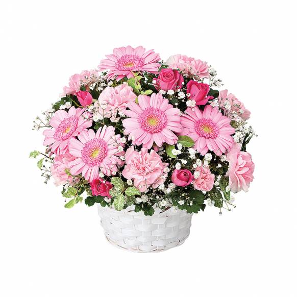 3000円 5000円まで の花 千葉県市川市の花屋 フローリスト花樹にフラワーギフトはお任せください 当店は 安心と信頼の花キューピット加盟店です 花キューピットタウン