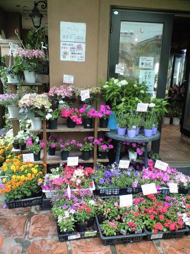 「フローリスト花樹」　（千葉県市川市）の花屋店舗写真4